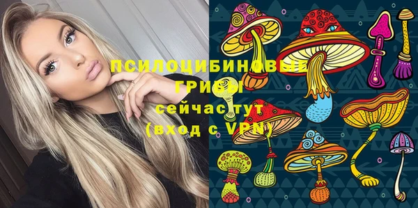 apvp Баксан