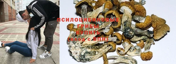 стафф Балабаново