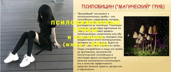 apvp Баксан
